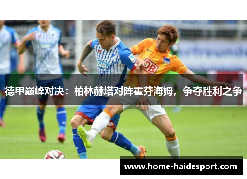 德甲巅峰对决：柏林赫塔对阵霍芬海姆，争夺胜利之争