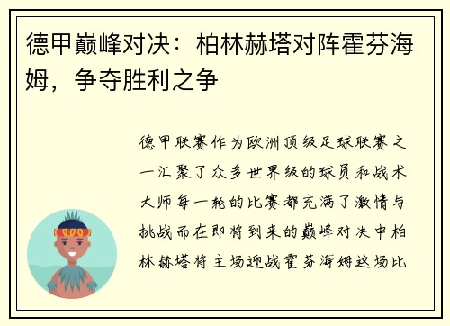 德甲巅峰对决：柏林赫塔对阵霍芬海姆，争夺胜利之争